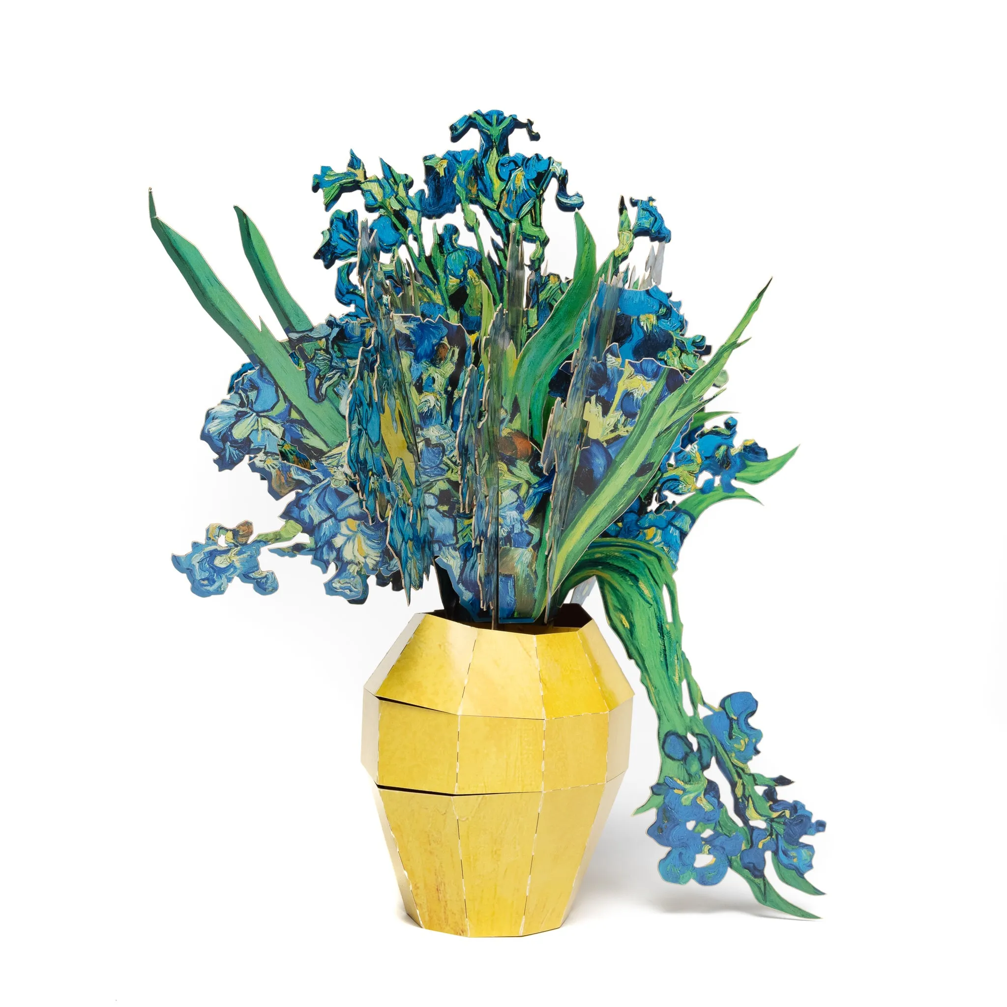 Irises - Pop-Up Bouquet