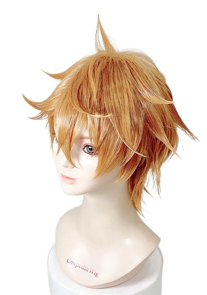 "Genshin Impact" Tartaglia style cosplay wig